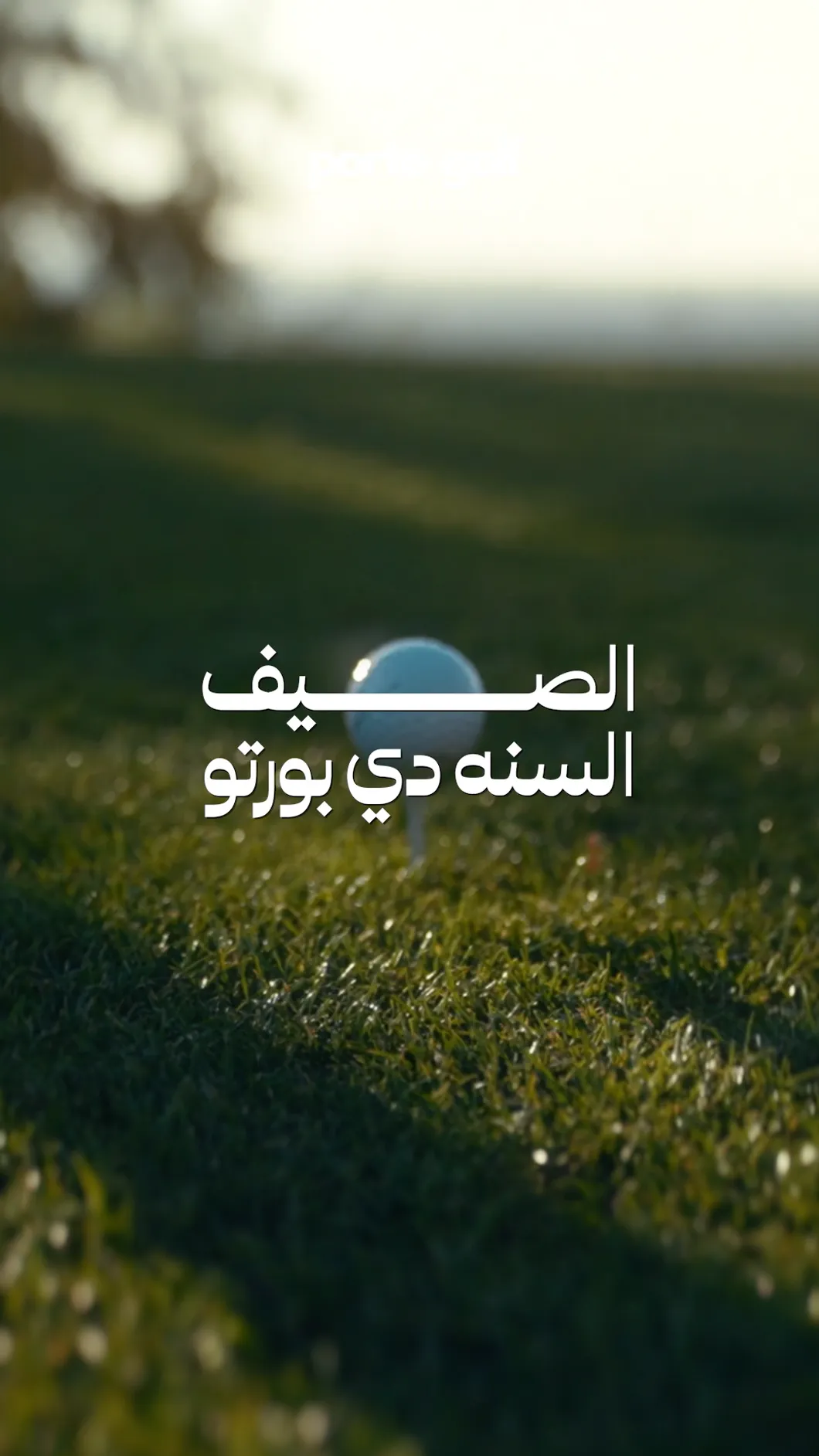 Oxi Libya brand content